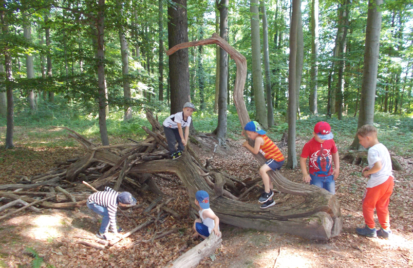 Die Kinder spielen im Wald