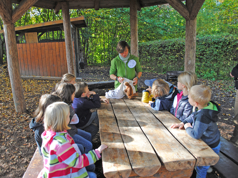 Die Kinder lauschen den Erklärungen der Waldpädagogin