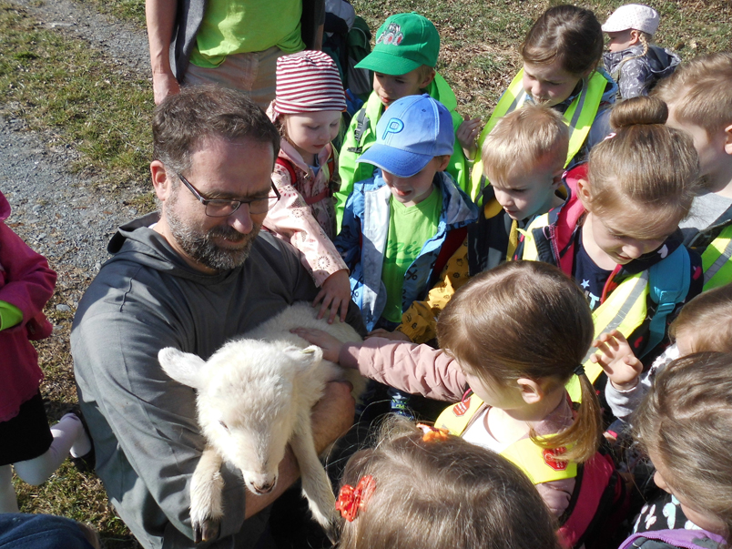 Die Kinder betrachten ein Schaf aus der Nähe